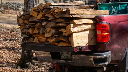 A pickup bed loaded with cut wood, ready to be hauled out.
