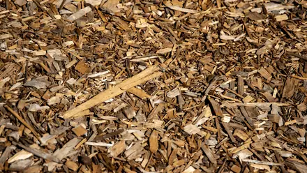 Fresh bark mulch and wood chips in sunlight.